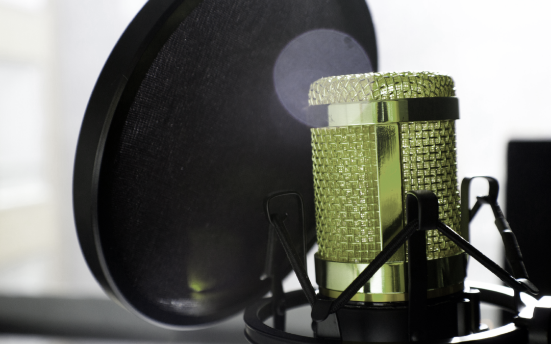 Photograph of an elegant, fancy microphone.