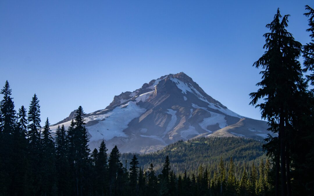 Wy'East (Mount Hood) against a blue sky with trees in the foreground